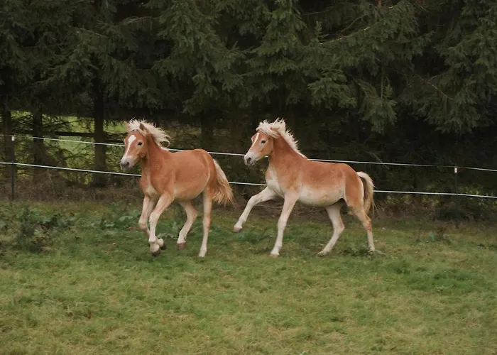 Reet Am Rhein-heuboden, Eroeffnungsangebot 公寓 博帕德