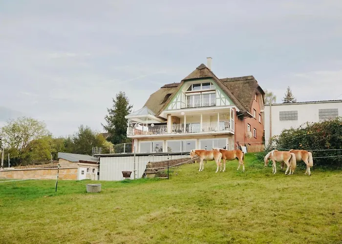 Reet Am Rhein-heuboden, Eroeffnungsangebot Boppard
